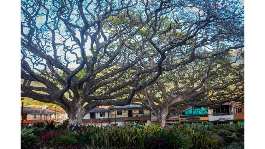From Medellín: Jardín, Andes, and Hispania Day Trip - Key highlights you’ll actually feel