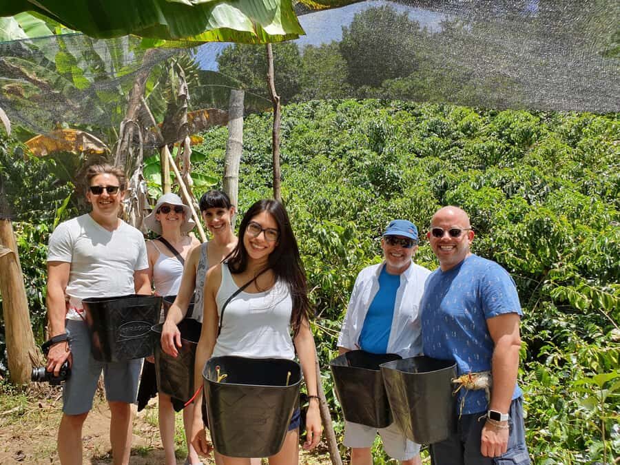 From Medellin: Private Envigado Coffee Tour with Tastings - Quick hits you’ll care about
