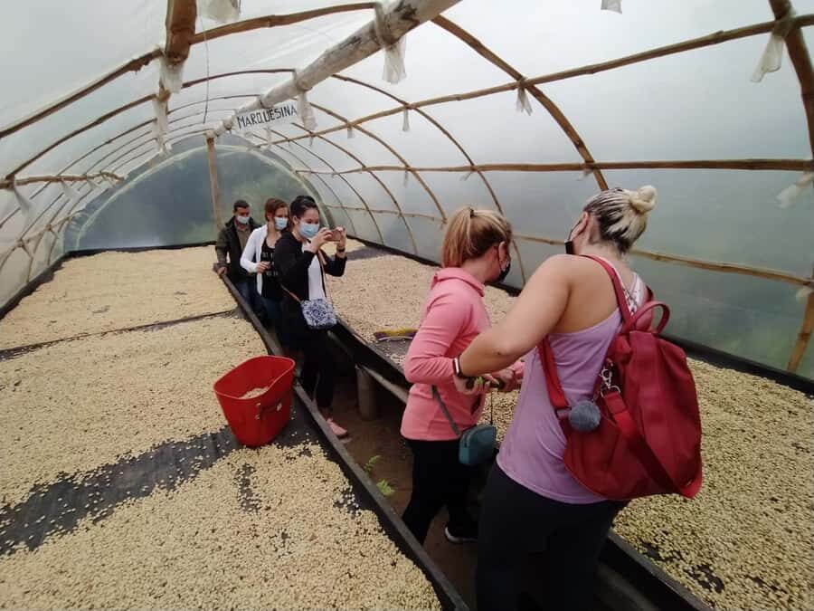 From Medellin: Private Envigado Coffee Tour with Tastings - Coffee tasting at the end: how to make it worth it