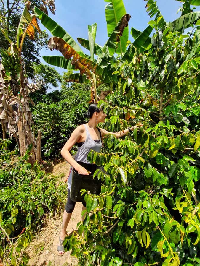 From Medellin: Private Envigado Coffee Tour with Tastings - Wildlife spotting and the slower rhythm of mountain coffee country