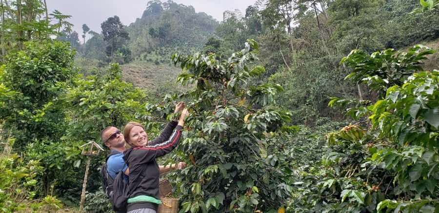 From Medellin: Private Envigado Coffee Tour with Tastings - The Envigado coffee villa: what seed-to-cup really teaches
