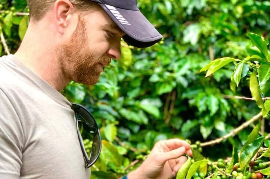 From Medellin: Private Guatape Car Tour with Coffee Tour - Private tour benefits: tailoring without turning it into chaos
