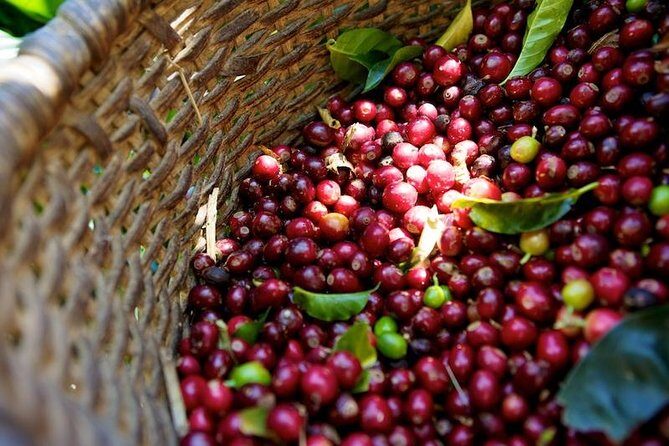 Full-Day Private Guatape Coffee Villa Tour from Medellin - El Peñol Rock: The View That Makes The Drive Worth It