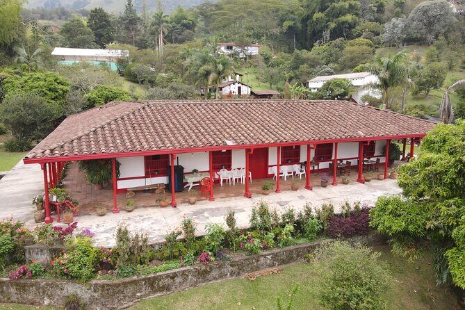 Half-day coffee tour at a coffee farm in Medellin. - Key Points I’d Prioritize Before Booking