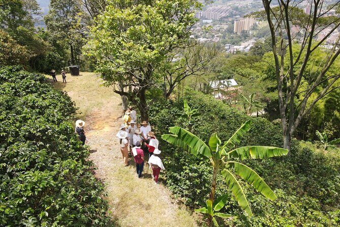 Half-day coffee tour at a coffee farm in Medellin. - Coffee Farm Lesson Time: What This Half-Day Really Delivers