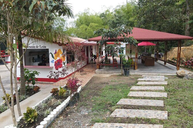 Half-day coffee tour at a coffee farm in Medellin. - Inside an Organic Coffee Farm Near Medellín