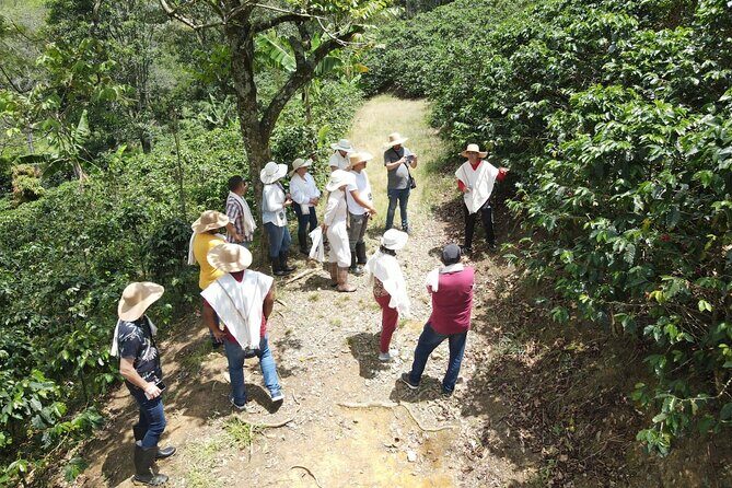 Half-day coffee tour at a coffee farm in Medellin. - Group Discounts and Private Tour Reality