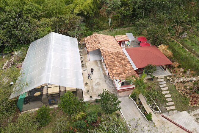 Half-day coffee tour at a coffee farm in Medellin. - What’s Included vs. What to Plan for