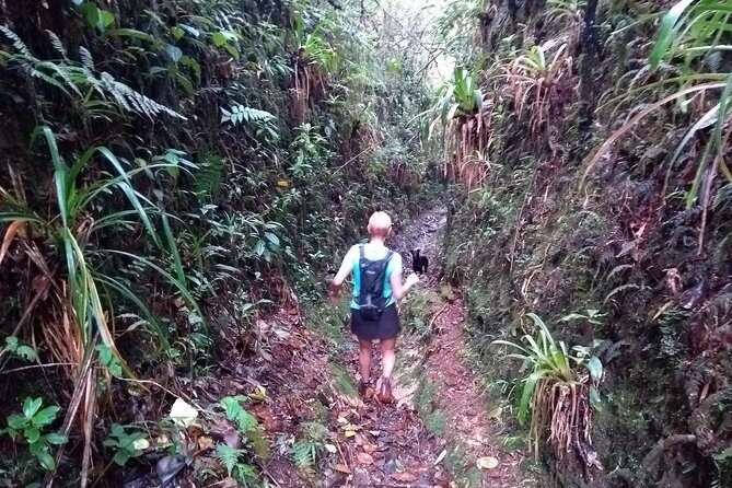 Hiking Mountains and Magical Forests - Key highlights