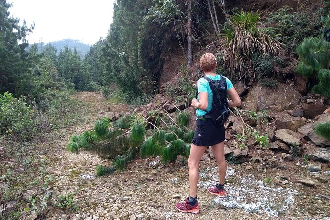 Hiking Mountains and Magical Forests - A Local Escape From Medellín Into Envigado’s Mountain Green