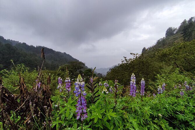 Hiking Mountains and Magical Forests - Waterfalls, Cooling Off, and Why the Break Matters
