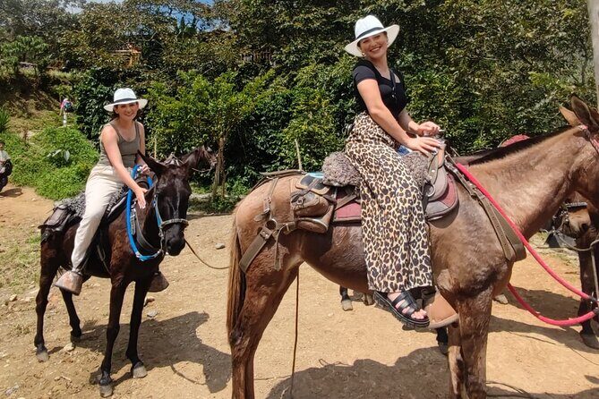 Horseback Riding Adventure from Medellin - Why this Llanogrande horseback ride feels like more than a quick outing