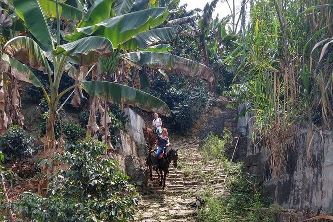 Horseback Riding Adventure from Medellin - Breaks, photos, and the refreshments rhythm