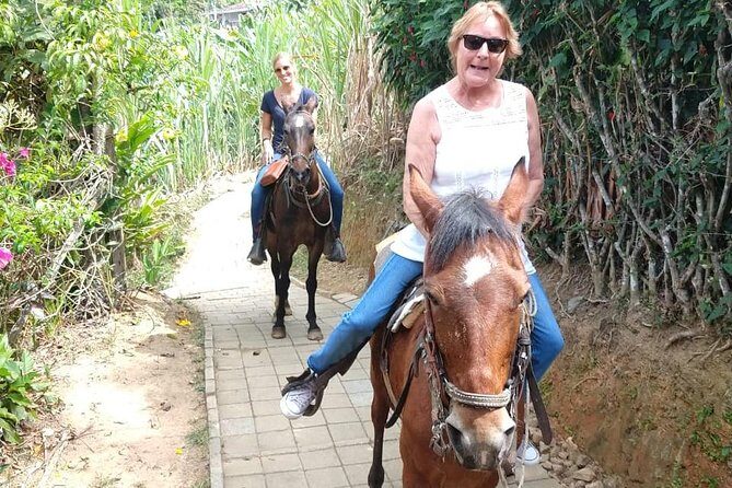 Horseback Riding Adventure from Medellin - Price and value: what $137.75 buys you in Medellín