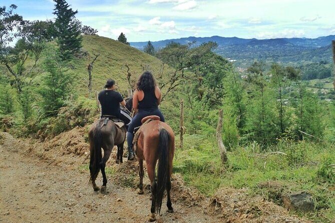 Horseback Riding & ATVs Private Tour in Medellin: Stunning Views - Hotel pickup and drop-off: why it matters more than you think