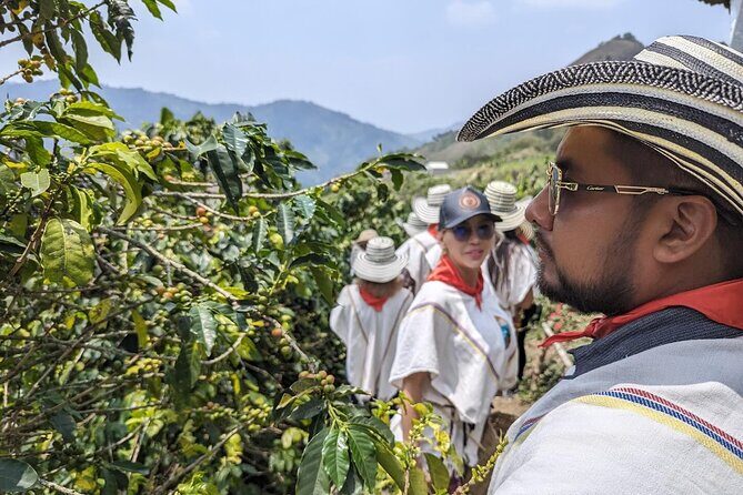 Horseback Riding Tour and Coffee Tour with Lunch and Refreshment - Quick Highlights: What Makes This Medellín Tour Work