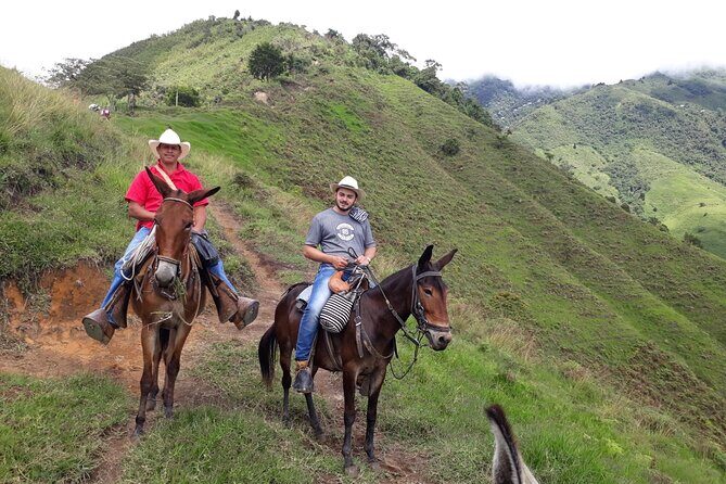 Horseback Riding Tour and Coffee Tour with Lunch and Refreshment - Coffee Tasting and Fruit Time: What You Actually Taste