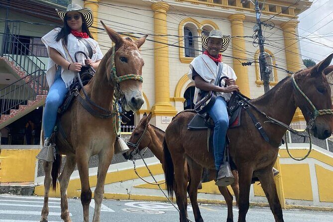 Horseback Riding Tour and Coffee Tour with Lunch and Refreshment - Price and Value: Is $77 Worth It?