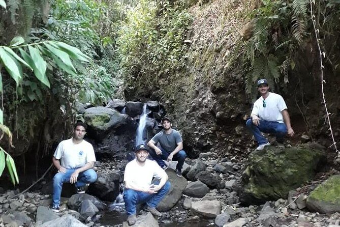 Jardín Coffee Lovers Private Tour with Waterfall Option from Medellín - Price and Value: What $239 Buys You in the Real World