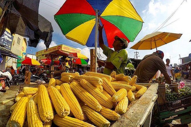 Local Fruit and Market Places Tour - Price and what you actually get for $61.75