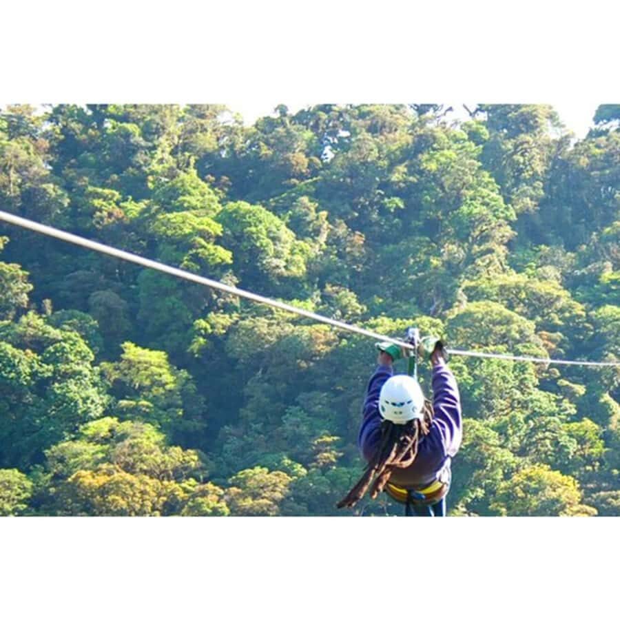 Medellin: 4-Hour Zip-Line Adventure - The zip-line run: 140+ meters, real safety gear, and an instructor beside you