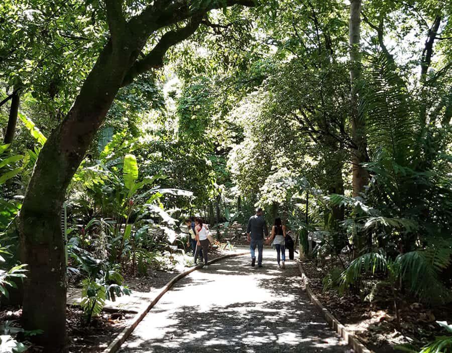 Medellín: Botanical Garden and Arvi Park City Tour - Who This Tour Fits Best