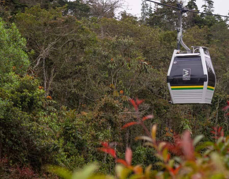 Medellín: Botanical Garden and Arvi Park City Tour - Start in Medellín’s Active Zone, Then Trade Cars for Leaves