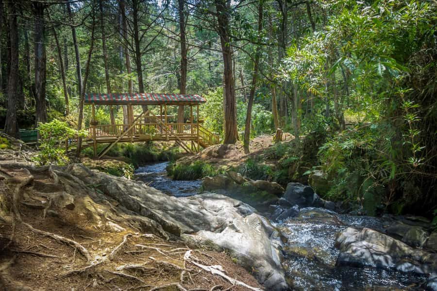 Medellín: Botanical Garden and Arvi Park City Tour - Metrocable: Views That Turn the Hills Into Part of the Tour
