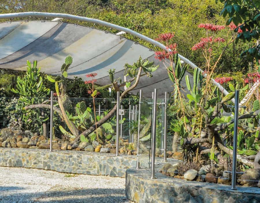 Medellín: Botanical Garden and Arvi Park City Tour - Price and Value: Where $85 Makes Sense (and Where It Doesn’t)