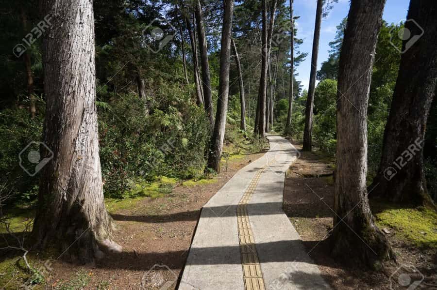 Medellín: Botanical Garden and Arvi Park City Tour - Guides Matter More Than You Think