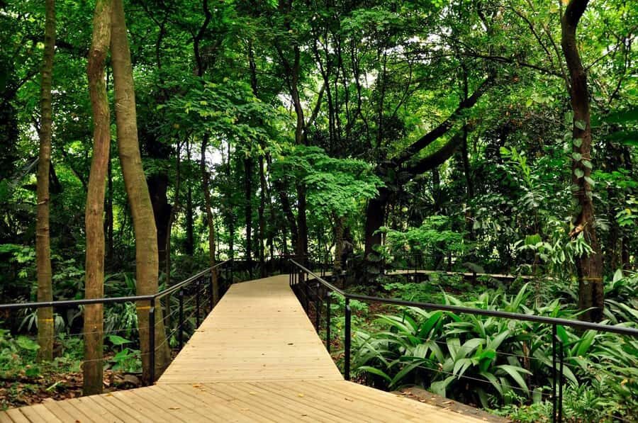 Medellín: Botanical Garden and Arvi Park City Tour - Botanical Garden: Your Guided Walk Through Conservation