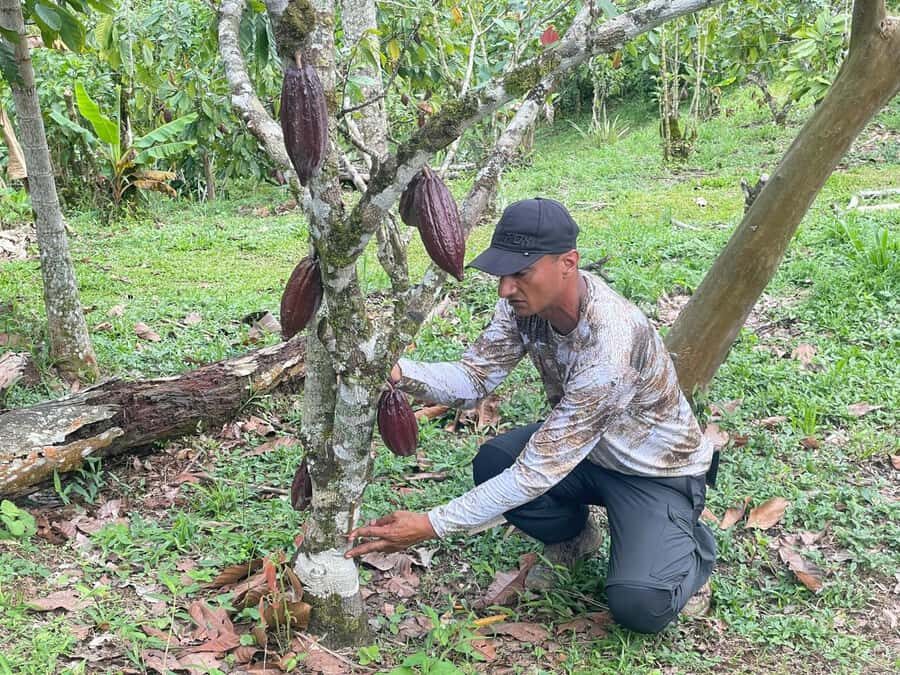 Medellín: Chocolate Tour & Exfoliation in beautiful river - The family cacao farm: where the lesson becomes real