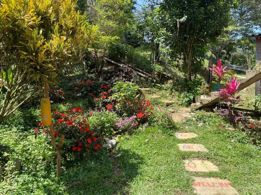 Medellín: Chocolate Tour & Exfoliation in beautiful river - Making your own chocolate bar: the souvenir that’s actually personal