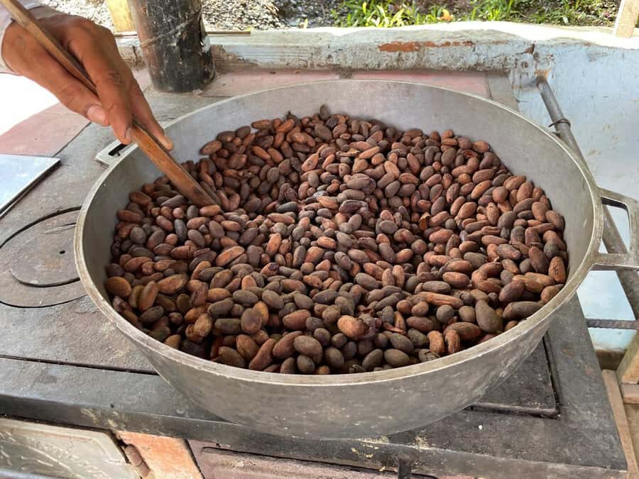 Medellín: Chocolate Tour & Exfoliation in beautiful river - From Cocorná viewpoint to Pailania: a guided look at the region