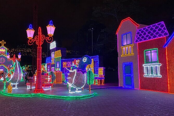Medellin Christmas Lighting Private Tour - Key things to know before you go
