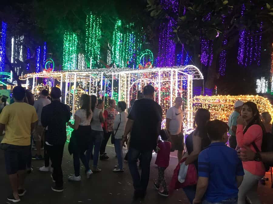 Medellin Christmas Lights Tour - Why Medellín Christmas Lights Work So Well in 4 Hours