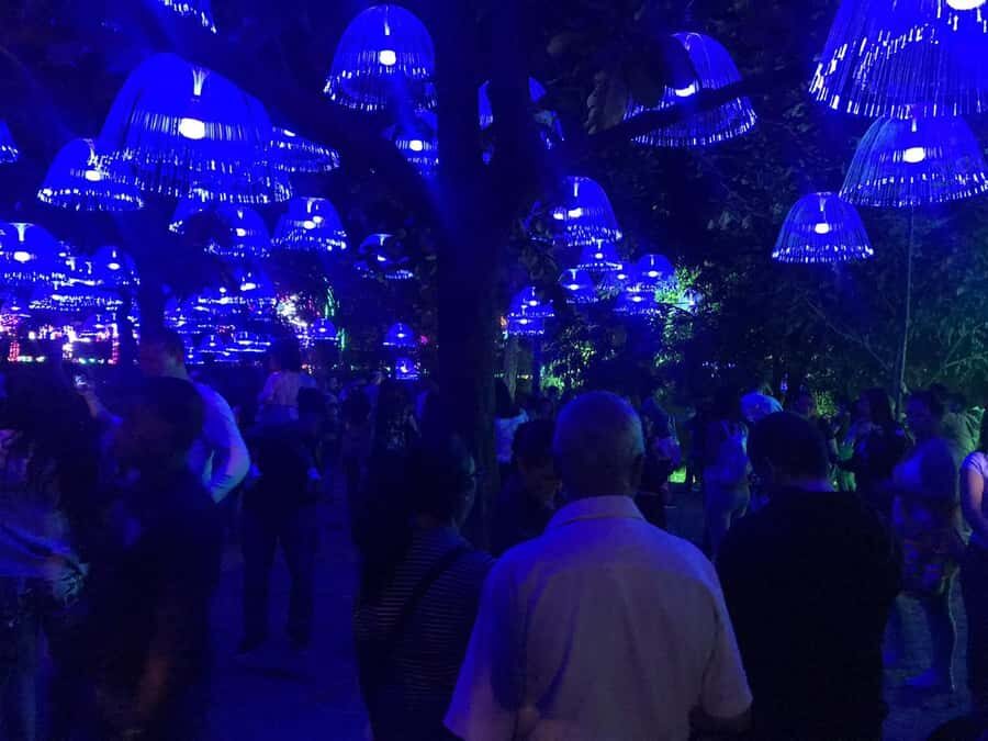 Medellin Christmas Lights Tour - Watching the Light Shows: What You Gain When Someone Explains the Meaning