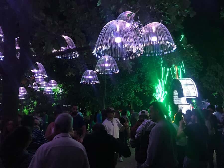 Medellin Christmas Lights Tour - Private Transport, Courtesy Beverage, and the Calm of Not Rushing