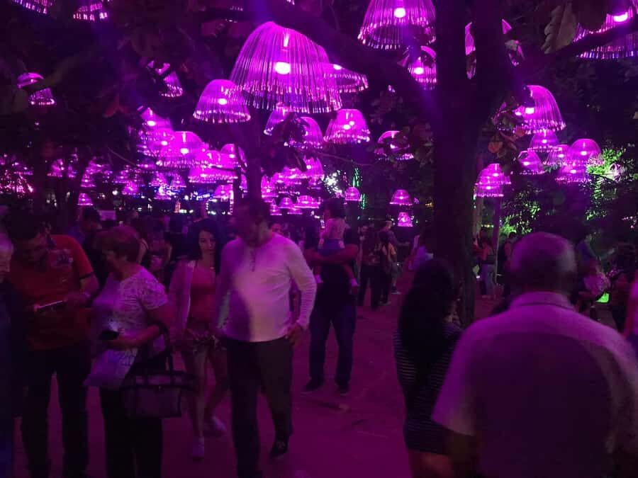 Medellin Christmas Lights Tour - El Poblado Pickup: The Easy Start (and Why It Matters)