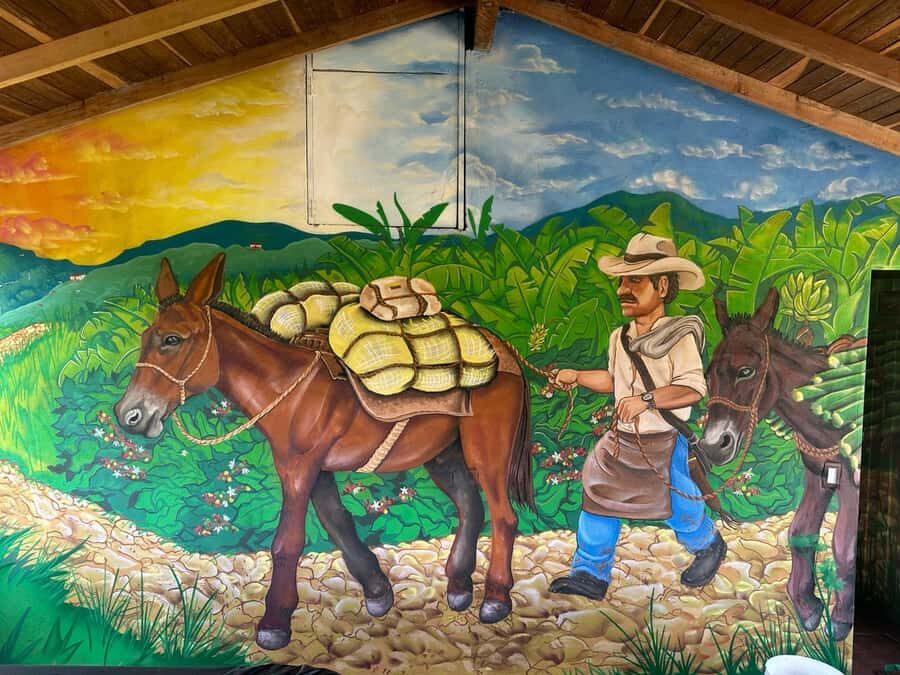 Medellin: Coffee and fruit tour - Who this tour is best for (and who might want something else)
