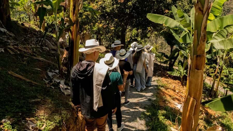 Medellin: Coffee and fruit tour - Getting to Agrotur el Llano: pickups and that 45-minute mountain transfer