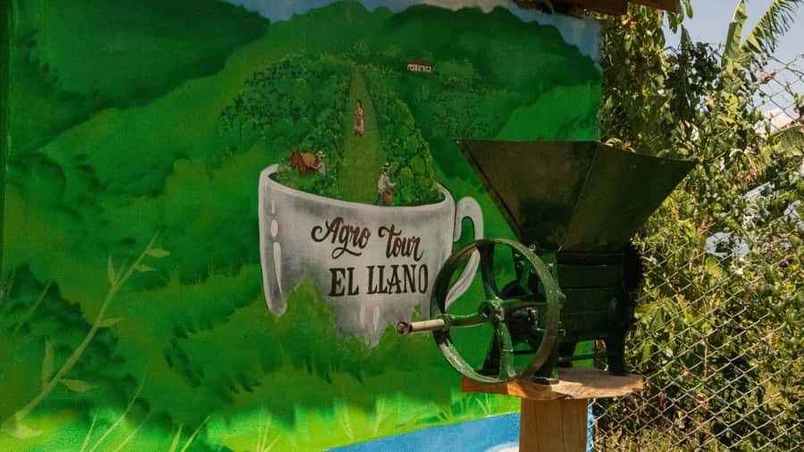 Medellin: Coffee and fruit tour - The best payoff: guarapo and an Antioquian lunch