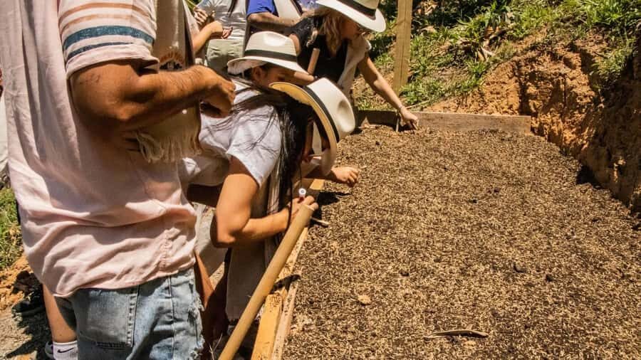 Medellin: Coffee and fruit tour - Language expectations: Spanish first, with some scheduling flexibility