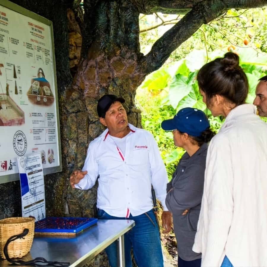 Medellin: Coffee Farm and Barista Workshop Experience - Key Things I’d Put on Your Must-Know List