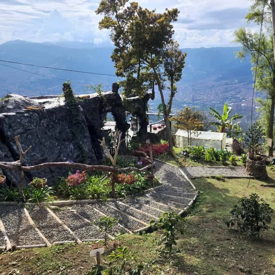 Medellin: Coffee Farm and Barista Workshop Experience - Hands-On Training and “At Speed” Practice