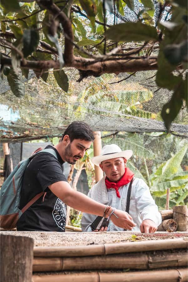 Medellin: Coffee Farm and Barista Workshop Experience - Who Should Book This Workshop (and Who Might Skip It)