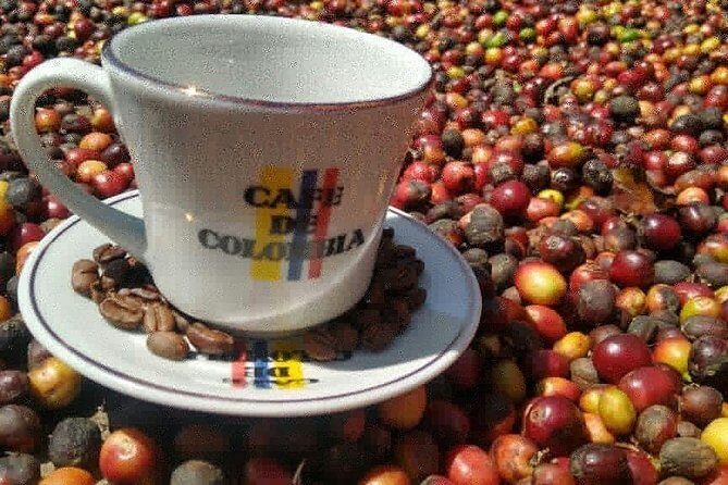 Medellin: coffee tour and paisa experience - The plantation block: walk, learn, and taste without rushing