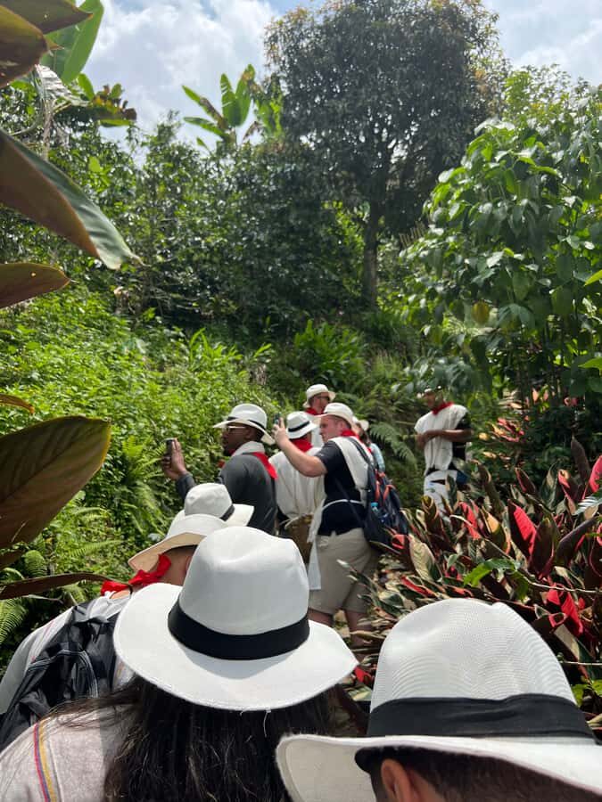 Medellín: Coffee Tour Experience at a Coffee Farm - Key Points Before You Go