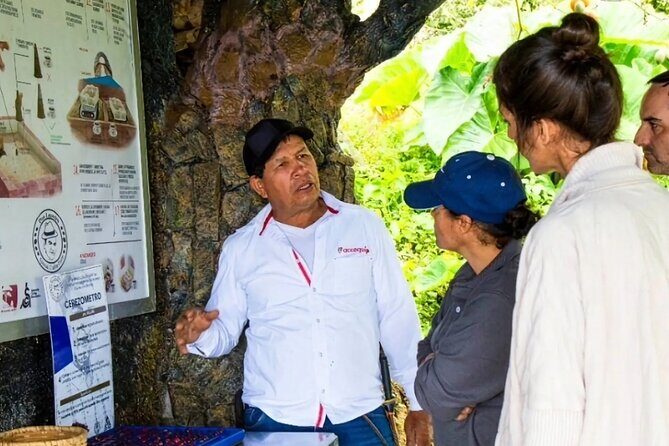 Medellin Coffee Tour & Spa - Coffee wellness spa: temascal-style heat, coffee treatments, and why it fits the theme