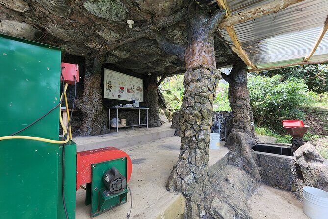 Medellin Coffee Tour & Spa - Price and value: what $127 buys beyond a standard coffee stop